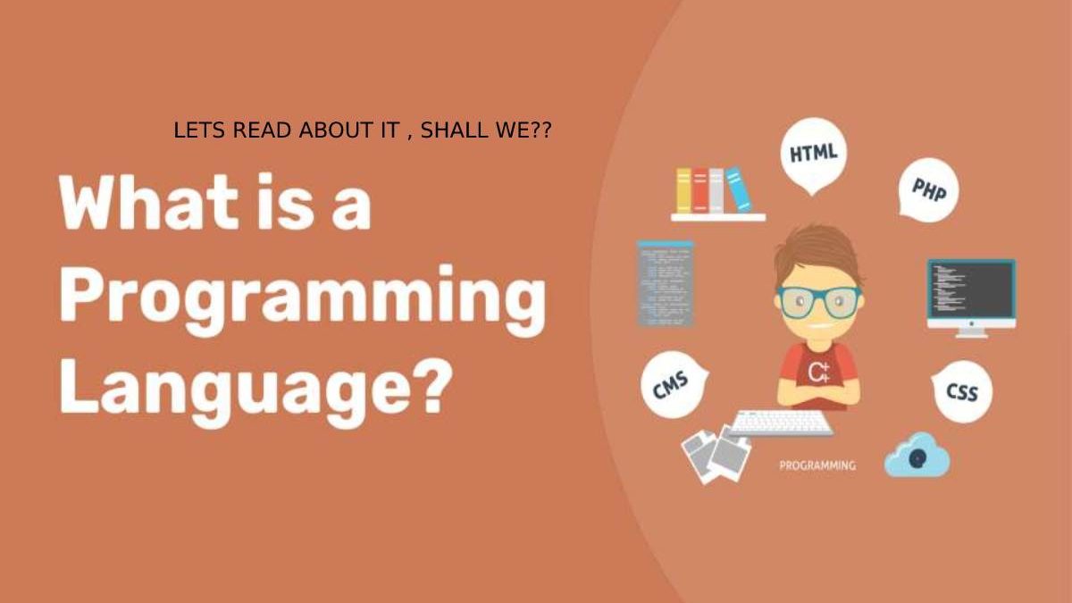 What is Programming Language